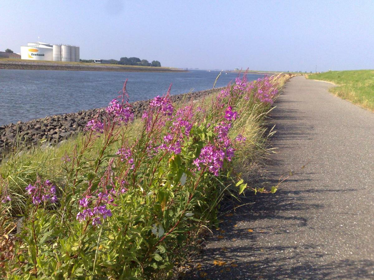 הוילה וומלדינגה Middensluis 7 מראה חיצוני תמונה